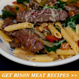 Get Bison Recipes