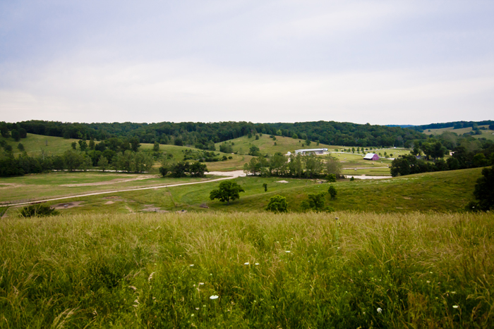 Bison Ranch Landscape
