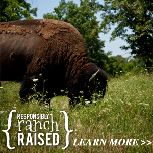 Learn more about Responsibly Ranch Raised